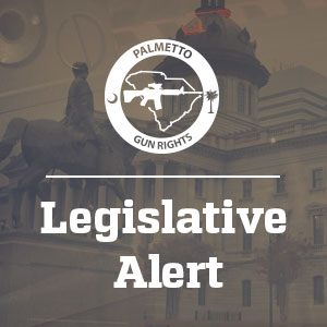 Will South Carolina Be the Next Victim of Gun Control?